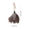 LOLIPPYY Feathered Duster with Ergonomic Wooden Handle Handheld Household Dust Cleaner for Delicate Surfaces Comfortable Grip Sweeper for Home and Car Dust Removal view 2