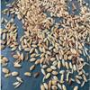 African rice,Oryza glaberrima paddy, 100% natural and organic, no additives, including phyto sanitary certificate (200g) view 2