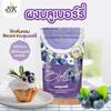 Premium Freeze-Dried Blueberry Powder - 100% Pure & All Natural - (17.6 oz) - Non-GMO, No Sugar Added - Perfect for Smoothies, Baking & More 500g view 2
