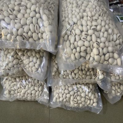 Canavalia ensiformis, Jack beans, 100% natural and organic, no additives, including phyto sanitary certificate (500g)