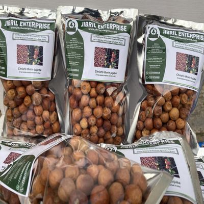 Christ's thorn jujube (Ziziphus spina-christi) quality dried fruits, 100% natural and organic, including phyto sanitary certificate (200g)