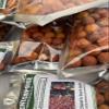 Christ's thorn jujube (Ziziphus spina-christi) quality dried fruits, 100% natural and organic, including phyto sanitary certificate (200g) view 4