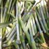 African Sweet sorghum (Sorghum bicolor), 100% natural and organic, no additives, including phyto sanitary certificate. (500g) view 2