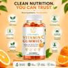 Yogivita Vitamin C Gummies with Zinc & Echinacea Immune Support Supplement Antioxidant Formula Non-GMO, Gluten-Free, GMP Quality 60 Gummies (30 Day Supply) view 4