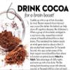 Organic Natural Cacao Powder Unsweetened Natural Cocoa Powder from Cold-Pressed Dominican Cacao Beans Keto, Paleo, Vegan, Gluten-Free, Non-GMO Superfood for Baking, Smoothies, Coffee Alternative (1 kg) view 4