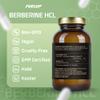 Fuelup Berberine HCL 500 mg Herbal Supplement with Berberis Aristata Extract Supports Metabolic Function - Heart and Circulation Non-GMO, 120 Vegan Vegetable Capsules view 3