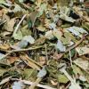 Nicomex -T de tilo hoja - Linden leaf tea - Tilo tea - herbal tea. 100% Natural oz each bag (3.54gr), pack of 3 bags. view 4