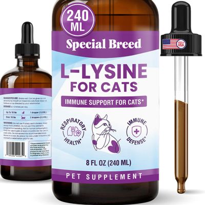 L-Lysine Supplement for Cats & Kittens Immune Support Liquid for Feline Respiratory Health, Sneezing, Runny Nose & Watery Eyes 250mg Lysine Cat Drops with Vitamins Complex Chicken Flavor