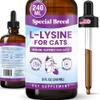 L-Lysine Supplement for Cats & Kittens Immune Support Liquid for Feline Respiratory Health, Sneezing, Runny Nose & Watery Eyes 250mg Lysine Cat Drops with Vitamins Complex Chicken Flavor view 1