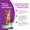 L-Lysine Supplement for Cats & Kittens Immune Support Liquid for Feline Respiratory Health, Sneezing, Runny Nose & Watery Eyes 250mg Lysine Cat Drops with Vitamins Complex Chicken Flavor view 2