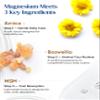 Venture Pal Magnesium Lotion with Arnica, MSM & Boswellia Cooling Magnesium Cream Lightweight Moisturizing Lotion for Legs & Feet Safe for Kids 6 fl oz view 3