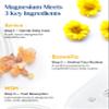 Magnesium Lotion with Arnica, MSM & Boswellia Cooling Magnesium Cream Lightweight Moisturizing Lotion for Legs & Feet Safe for Kids 6 fl oz view 3
