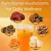 Mushroom Coffee Creamer, Orange Flavored, Probiotics, MCT Powder and 6 Mushrooms | Lion's Mane, Turkey Tail, Reishi, Maitake, Chaga, Cordyceps | Boosts Energy, Focus, Supports Immunity | Gluten-Free, Vegan, 6.35 Oz view 2