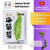 HoolySeek-Sea Grapes (3 packs) Premium Ocean-Grown Kelp & Seaweed Vegan Sushi Ingredient, Healthy Green Superfood for Salads, Hotpot & Snacks Includes Dipping Sauce view 2