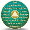 10 Year On Track Sobriety Coin Journey into Serenity NA Medallion Spiritual Token for Recovery & Clean Time Empowering NA AA Chips Gift for Men & Women view 2
