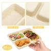Yesland 100 Pack Compostable Paper Plates, Natural Sugarcane 3 Compartment Plate, Heavy Duty Lunch Tray, Disposable Divided Sectional Trays, Microwave Freezer Safe for Party School view 3