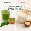 Organic Moringa & Ashwagandha Powder Bundle 1 lb (454g) Each USDA Organic Herbal Superfood Adaptogens for Energy, Stress Relief, Focus, Immune Support Vegan, Non-GMO Supplement for Daily Use view 4
