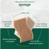 Biodegradable Natural Kitchen Sponge - Compostable Cellulose and Coconut Walnut Scrubber Sponge (Pack of 10) view 2
