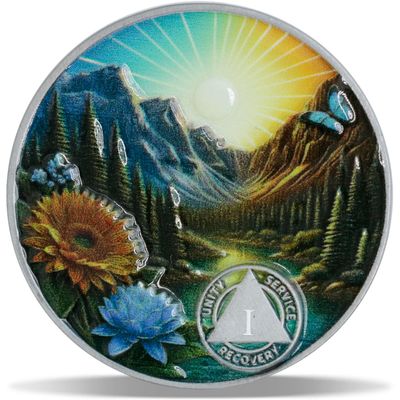 1 Year Serenity Bloom Sobriety Coin Journey into Serenity NA Medallion Spiritual Token for Recovery & Clean Time Empowering NA AA Chips Gift for Men & Women Antique Silver Finish