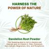 Go Nutra Dandelion Root Powder for Tea, Coffee & Beverages | Concentrated 10:1 Dandelion Root Extract Powder, Caffeine Free | No Added Ingredients | Non-GMO, Vegan | 8 oz view 4