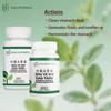 Health Herbal - HH2091 Zhu Ye Shi Gao Tang/Bamboo Leaves & Gypsum Decoction, Granule, 100 Grams/Bottle view 2