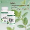 Health Herbal - HH2092 Bai He Gu Jin Tang/Lily Bulb Metal-Securing Decoction, Granule, 100 Grams/Bottle view 2