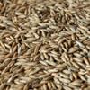 10LB English MALTED OATS Unmilled for Oatmeal Stout Porter and New World Cream Ale view 1