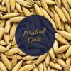 10LB English MALTED OATS Unmilled for Oatmeal Stout Porter and New World Cream Ale view 2
