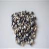 Amish Country Popcorn | 2 lb Bag | Midnight Blue Popcorn Kernels | Old Fashioned, Non-GMO and Gluten Free (Midnight Blue - 2 lb Bag) view 2