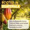 Yogi Super Foods Organic Raw Cacao Powder from Guatemala Unsweetened Non-Alkalized Chocolate Powder for Smoothies, Baking & Hot Chocolate Vegan, Gluten-Free Superfood 8 oz view 4