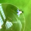 1PC Diameter 200mm Fresnel Lens Round Condenser Threaded Lenses DIY Magnifier Projector Lamp LED Light Magnifying Glass Solar Concentrator(Focal Length 150mm) view 4