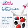 AlphaHerb Creatine Monohydrate Stick Packs 5g Micronized German Creapure Creatine Powder, Sugar Free, Lean Muscle & Recovery, NSF Certified for Sport, Travel Size, 3 Flavors (30 Sticks) view 4