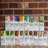84 Tea bags - Tea Bags Sampler Assortment Variety Pack Gift Box (42 Count - Pack of 2) 14 Different Flavors Gifts for Him Women Men Tea Lovers Couples Family Friends Coworker view 3