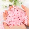 100Pcs 1Inch Mini Ribbon Pink Bows for Crafts Gift Wrapping, Small Tiny Gift Premade Bow Decor for Women Hair Party Bags, Ribbon Bow for Valentine New Year Thanksgiving Birthday Wedding view 2