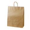 Sasagawa 50-6841 Handbag, Paper Bags, Taka Mark, Unexposed, Width 16.5 x Depth 6.3 x Height 21.1 inches (420 x 160 x 535 mm), 10 Sheets view 1