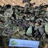 Daun Ungu (Graptophyllum pictum) Dried Leaves (80 Gram) view 3