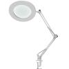 10X Magnifying Glass with Light and Stand, 3 Color Modes, 10 Brightness Adjustable Magnifying Desk Lamp with Clamp, LED Magnifier for Reading, Model Building, Painting, Facial (Color : White) Double view 1