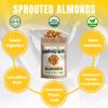 Brothers Nuts Crackled Cheezy Almonds Organic, Sprouted Almonds Healthy Keto Snack Vegan, Gluten-Free, Kosher No Preservatives 6oz (2 Pack) view 4
