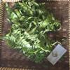 Vegetable fern (Diplazium esculentum) Dried (80 Gram) view 3