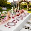 LUODA MirthMood 30 Guests Red Plastic Plates with Disposable Silverware, Clear Red Party & Wedding Dinnerware Include 30 Dinner Plates, 30 Dessert Plates, 30 Silver Cutlery for Weddings & Party. view 2