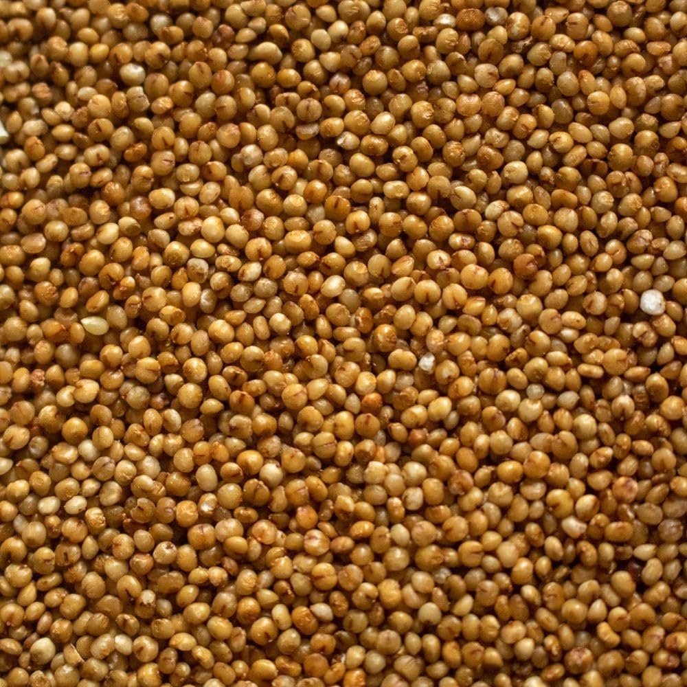 NY Spice Shop Kodo Millet Seeds - 3 Pound Whole Natural Millet Bajra Grain - Ancient Traditional Cereal - Versatile Ingredient for Cooking Porridge Pilafs Flour Milling Flatbreads