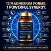 Magnesium Complex 12 in 1 for Women & Men, 1000mg High Absorption Magnesium Supplement with Glycinate, Citrate, Malate & Taurate, Supports Sleep, Muscle, Nerve & Relaxation, Vegan, 240 Capsules view 3