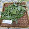 Daun Singkong (Manihot esculenta) Cassava Dried leaves (900 Gram) view 4