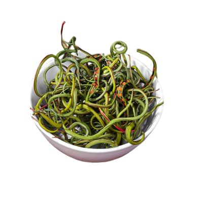 100% Natural,Chinese Famous Green Tea 1471