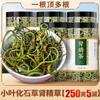100% Natural,Chinese Famous Green Tea 1471 view 3