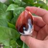 122g Carnelian Egg of Abundance Solar Charged Manifestation Stone Sacred Fertility & Courage Talisman view 4