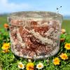 Dried Fruit Snack Group (COMBO, SWEETENED MAKOK) view 4