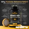 Yuvonta NMN 250mg NAD+ Supplement Cellular Energy & Mitochondrial Support with CoQ10, PQQ & Rhodiola Anti-Fatigue, Focus & Longevity Support 60 Vegan Capsules view 2