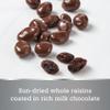 Chocolate-Covered Raisins - Milk Chocolate - 1 lb - World's Finest Chocolate view 2