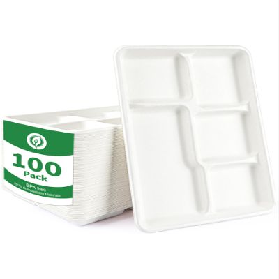 100% Compostable 5 Compartment Plates - 100 Pack Heavy Duty Lunch Trays, 12.5x8.6 Inch Disposable Bagasse Plates for School, Party, Buffet | Eco-Friendly Paper Trays with Dividers